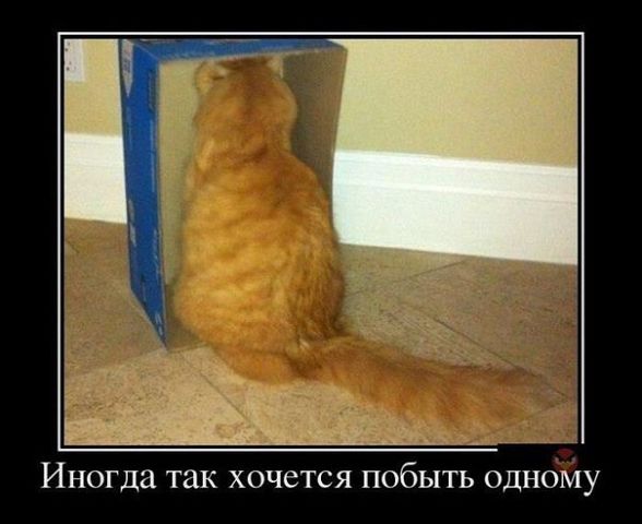 Еще немного юмора.