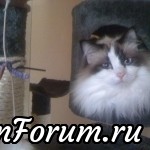 Дорогая Танюша (lazy) с юбилеем!