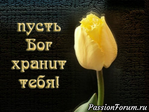 Сегодня день рождения у Людмилы (ludochka)