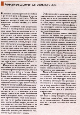 О комнатных цветах
