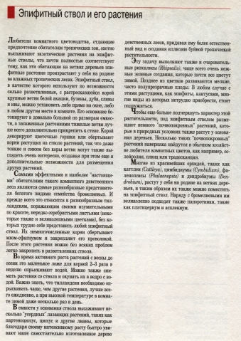 О комнатных цветах