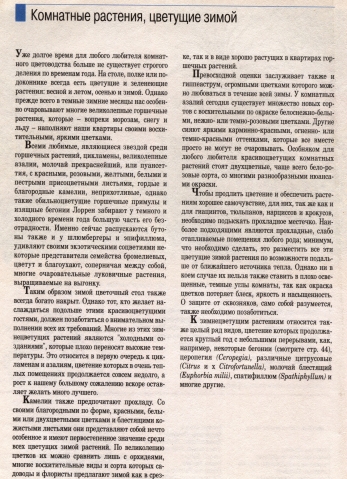 О комнатных цветах