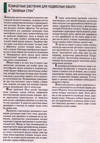 О комнатных цветах