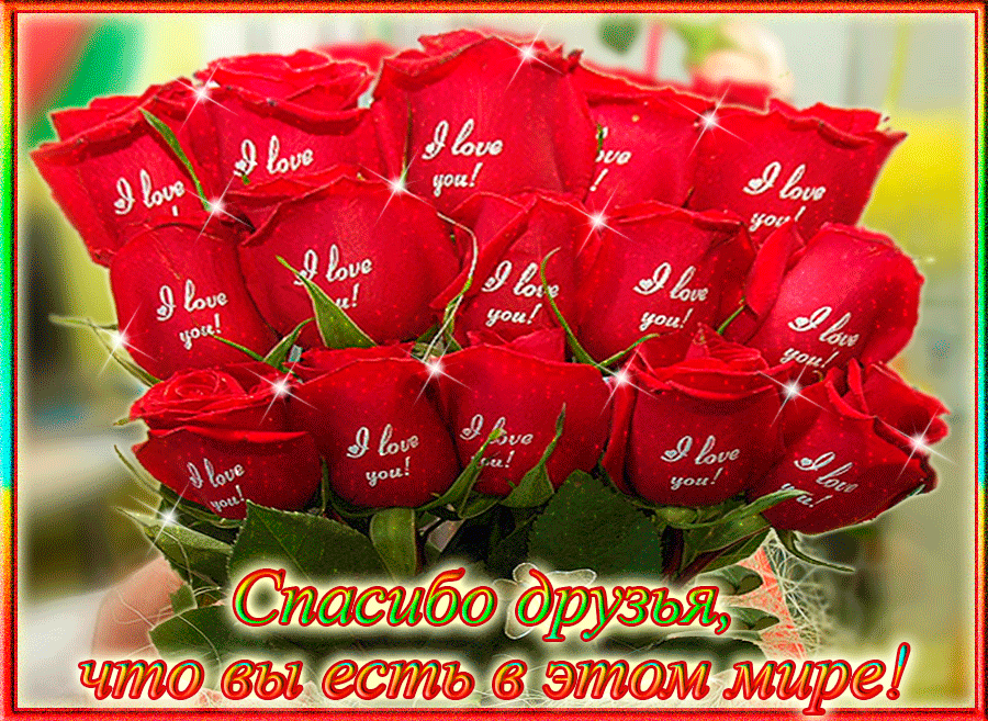 Спасибо за год жизни!