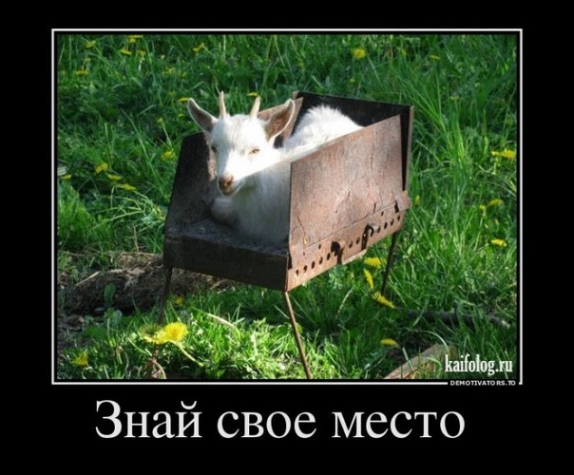 Наши маленькие друзья