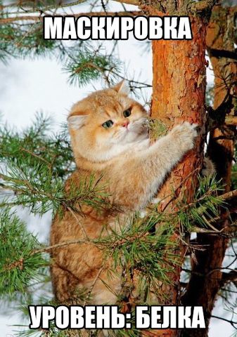Наши маленькие друзья