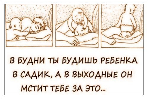 семья и дети