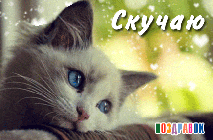 Как же я без вас скучаю.....