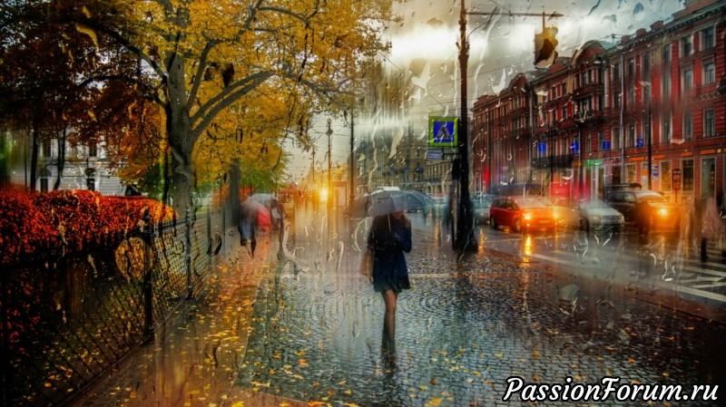 И снова все о нем...