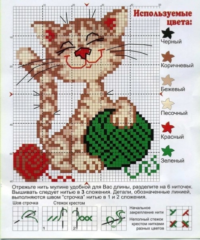 Котики