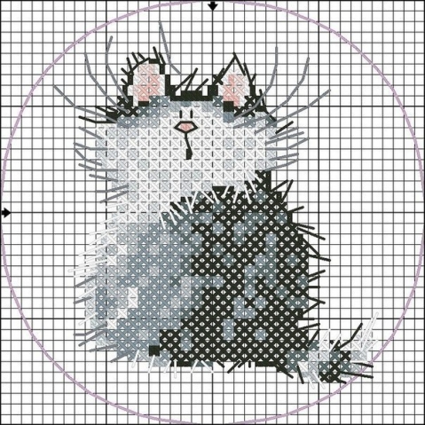 Котики
