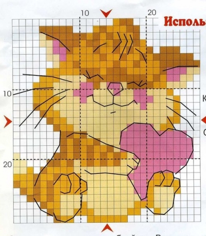 Котики
