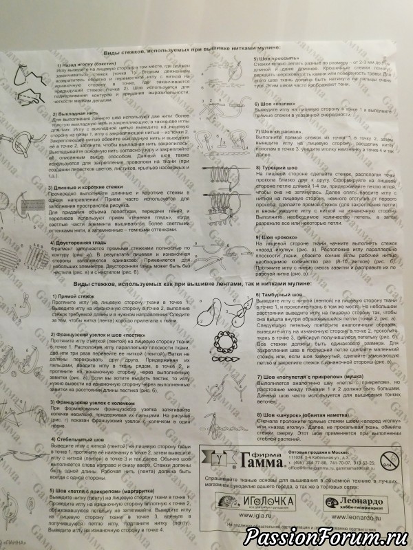 Хризантемы и георгины