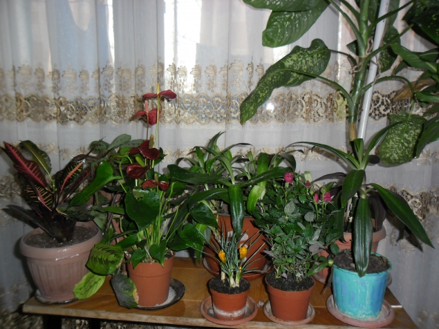 Выход из подполья.