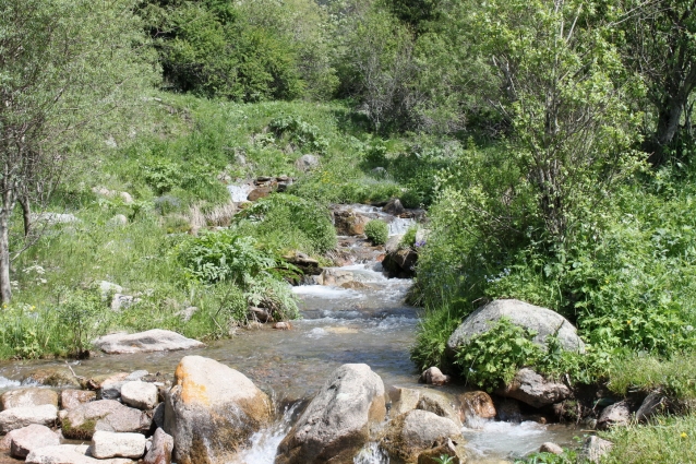 Вода