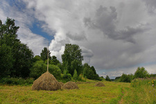 Сенокосная пора