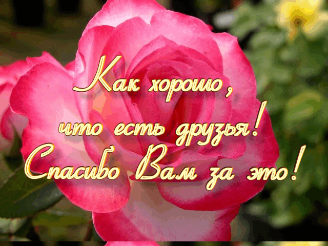 Счастье