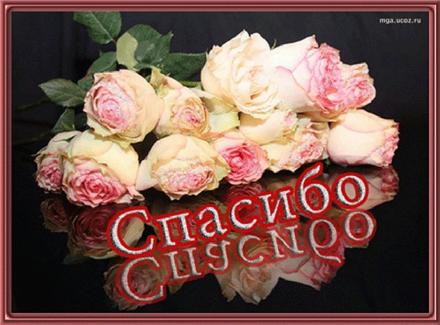 Девочки! Большое спасибо!