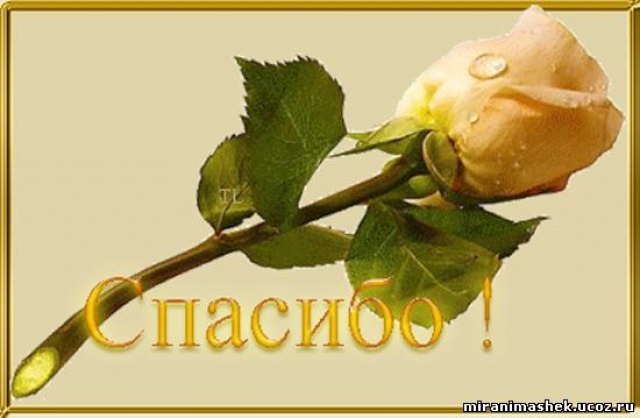 Девочки! Большое спасибо!