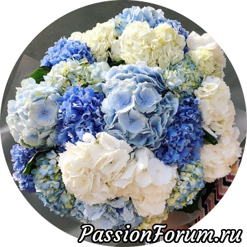 Цветок надежды.