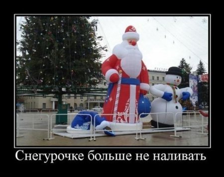 Приключения Елки в России : серьезно и не очень.