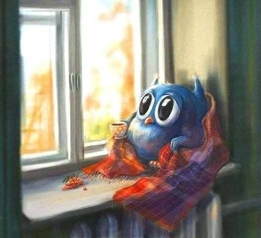 идеи с интернета.