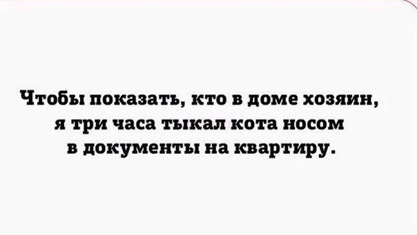 Подборка самых разных идей для вдохновения.
