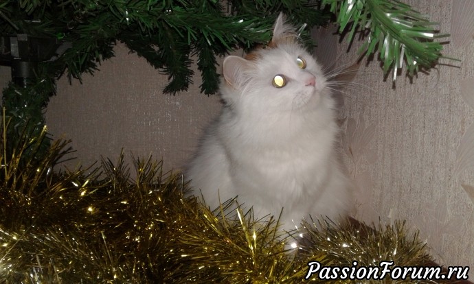 Новогодние сюрпризы!