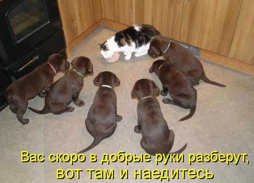 Улыбнитесь, ведь улыбка-это лучик счастья(часть 2)