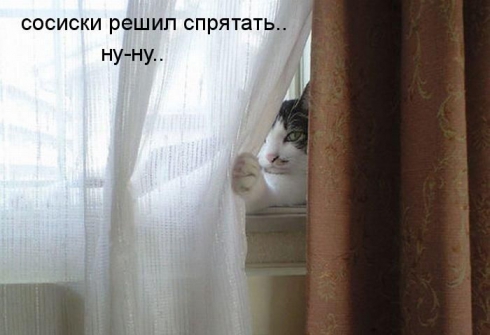 Улыбнитесь, ведь улыбка-это лучик счастья(часть 2)