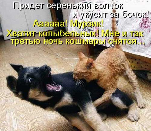 Улыбнитесь, ведь улыбка-это лучик счастья(часть 2)