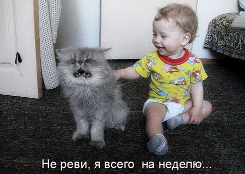 Улыбнитесь, ведь улыбка-это лучик счастья(часть 2)