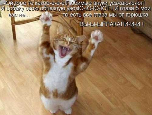 Улыбнитесь, ведь улыбка-это лучик счастья(часть 2)
