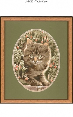 миллион всяких кошек)))