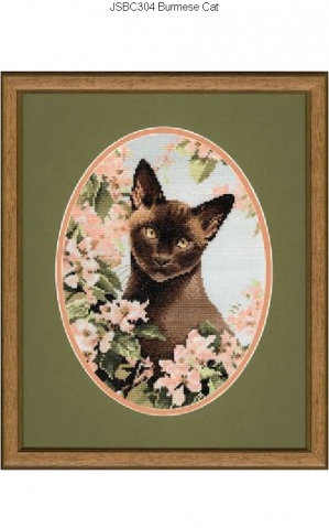 миллион всяких кошек)))