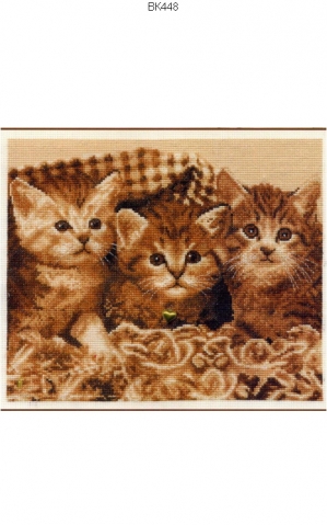 миллион всяких кошек)))
