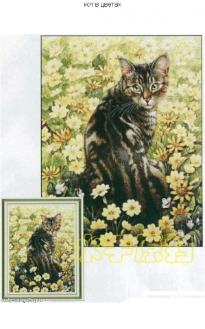 миллион всяких кошек)))