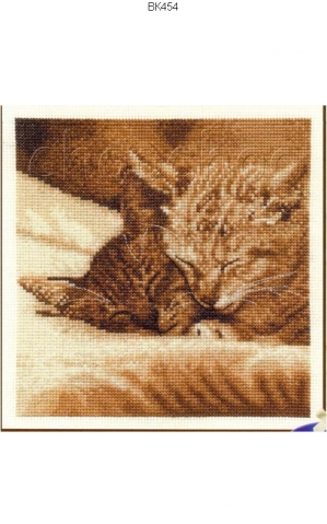 миллион всяких кошек)))