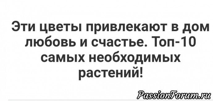 И снова они их величество комнатные растения 3. Взято из интернета.