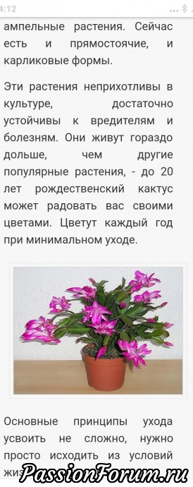 Любимые комнатные растения. Опять выручает интернет.
