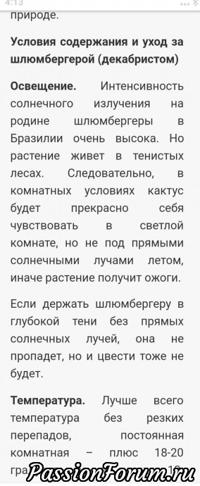 Любимые комнатные растения. Опять выручает интернет.