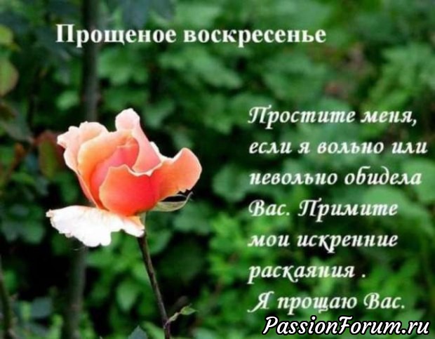 Простите меня...