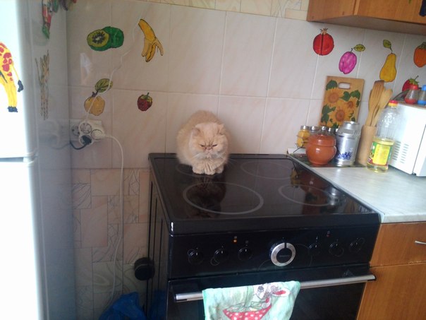 Новое жильё
