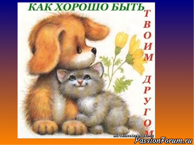 ЧТО НАМ КИЛОМЕТРЫ РАДИ ДРУЖБЫ...ИЛИ, КАК Я БОРОЛАСЬ С УРБАНИЗАЦИЕЙ))))