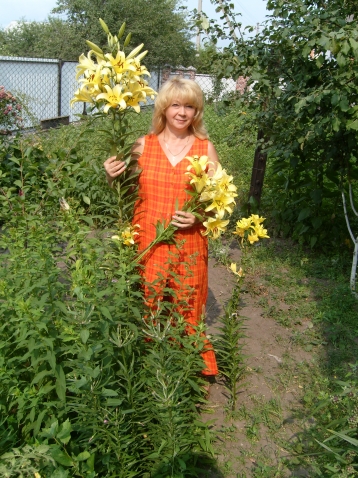 Маленькое дополнение к топику о лилиях.