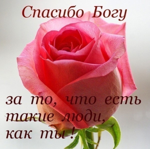 С запоздалой благодарностью к замечательной женщине.