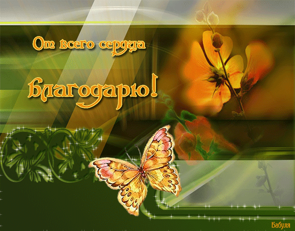 Разделите со мной благодарность и радость.