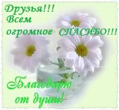 Нужен совет вязальщиц.