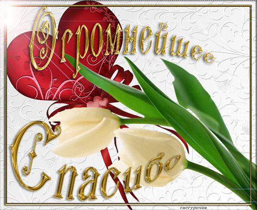 Письма разные важны.
