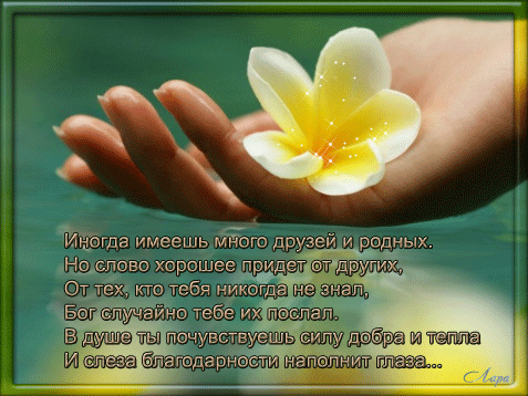 Спасибо моим друзьям.